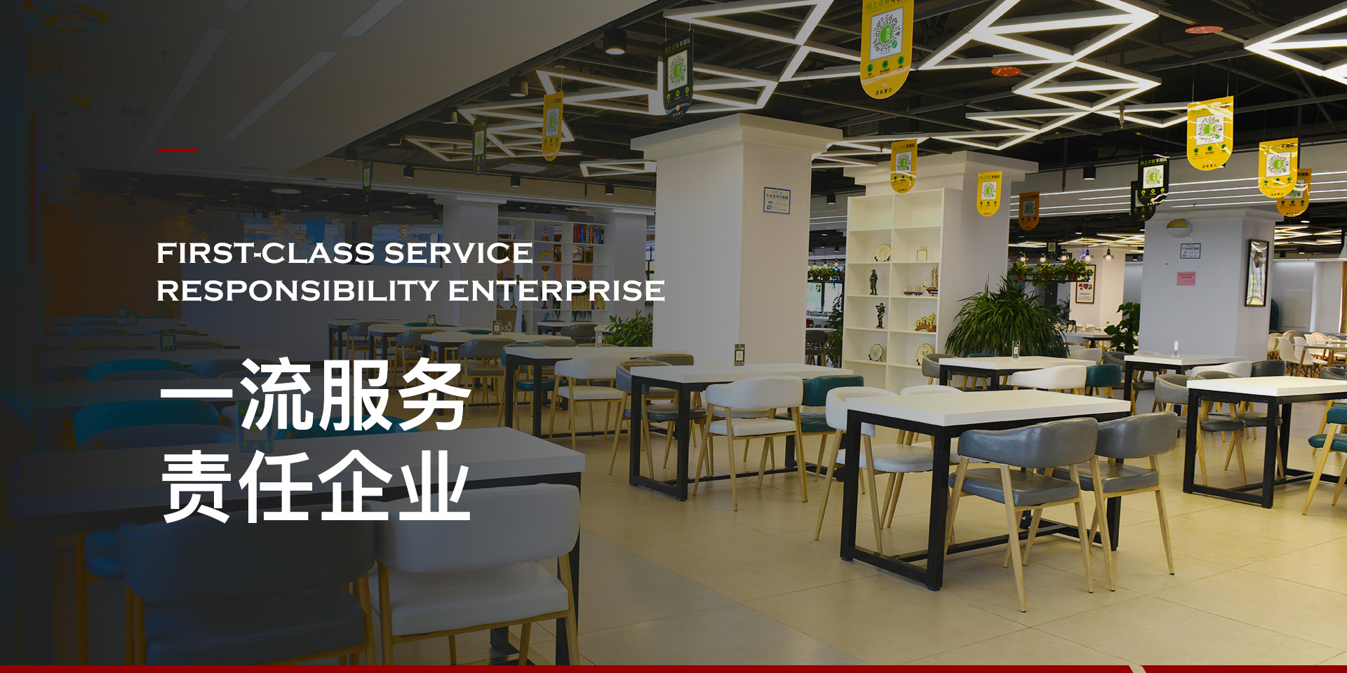 ����Ѷ��ok1133(�й���)�ٷ���վ