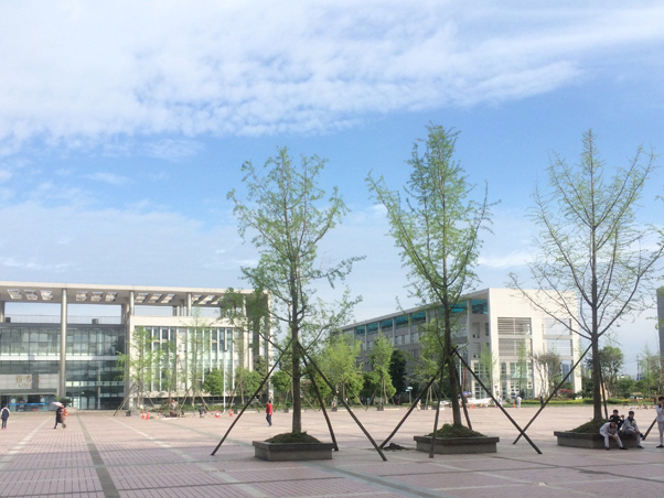 �ɶ���ʦѧУ